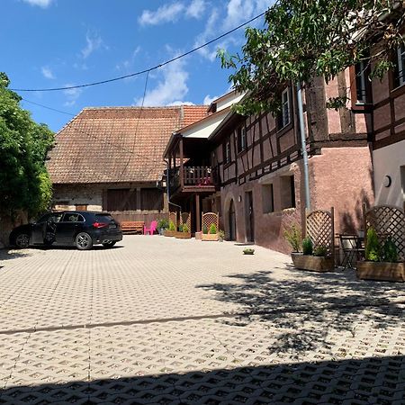 Doux Refuge Avec Terrasse Parking Gratuit Lägenhet Beblenheim Exteriör bild
